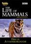Животът на бозайниците част 2 | филми 2002
